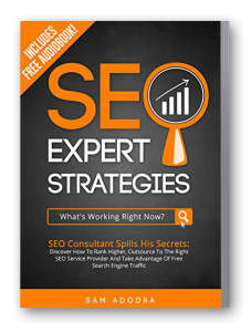 Seo Expert Strategies